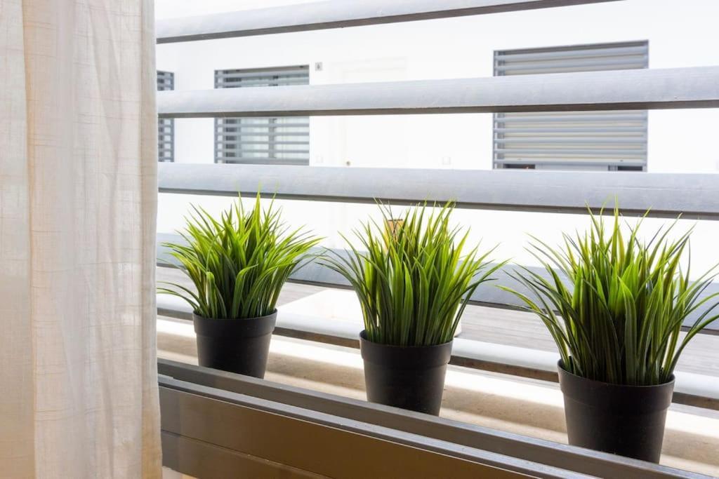 Twinsuites Malaga Zewnętrze zdjęcie